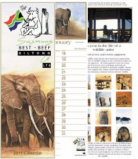 South African Calendar 2011